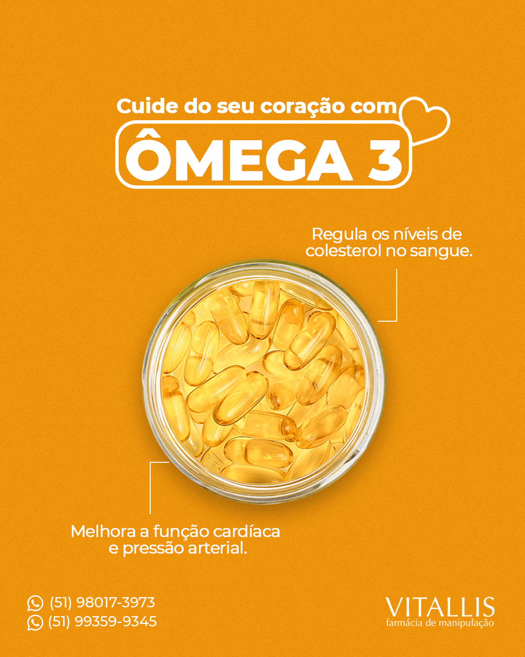 Omega 3 1000 mg C/120 Cápsulas