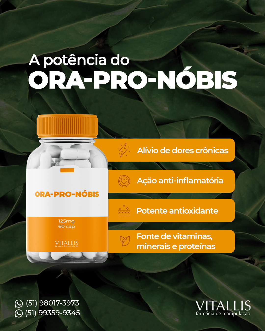 Ora-pro-nobis 125 mg 60 Cápsulas